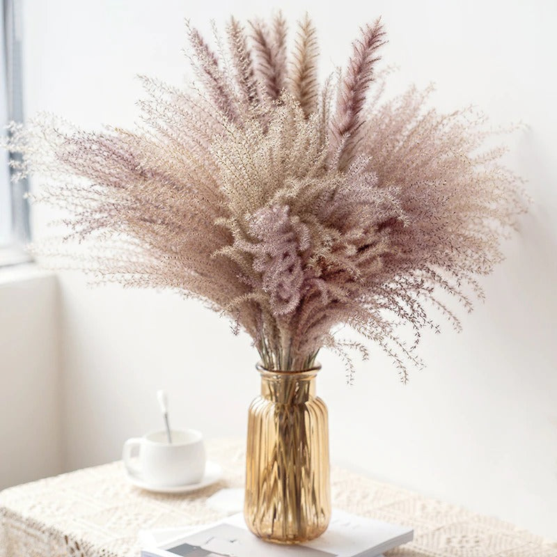 PAMPAS GRASS