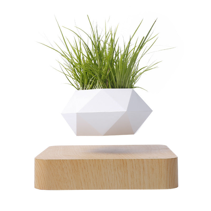 FLOATING FLOWERPOT